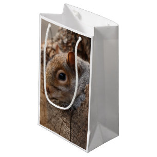 Petit Sac Cadeau L'écureuil mignon regarde par son trou