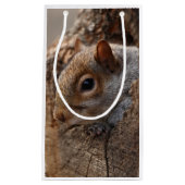 Petit Sac Cadeau L'écureuil mignon regarde par son trou (Devant)