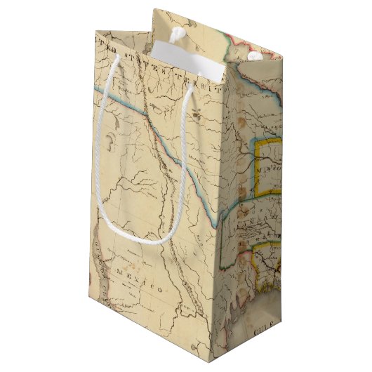 Petit Sac Cadeau Les Etats-Unis 26 (Dos Angle)
