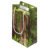 Petit Sac Cadeau Les séquoias au monument national de Muir Woods (Devant Angle)