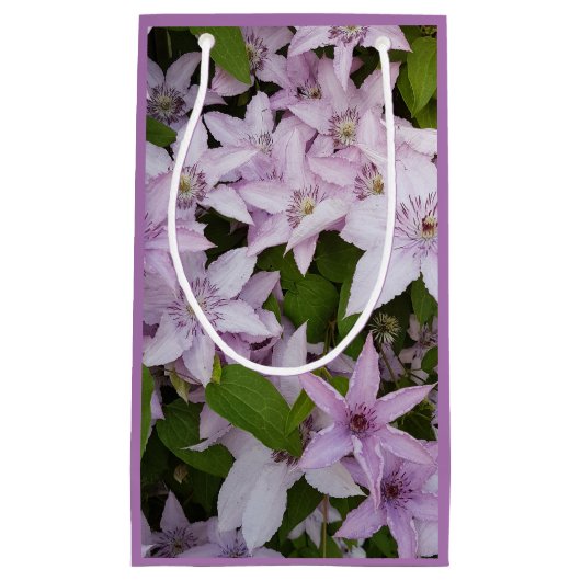 Petit Sac Cadeau lilas, clematis, belle, fleur, fleur lilas, (Devant)