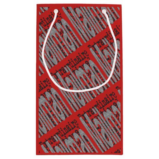 Petit Sac Cadeau Mailman Extraordinaire (Dos)