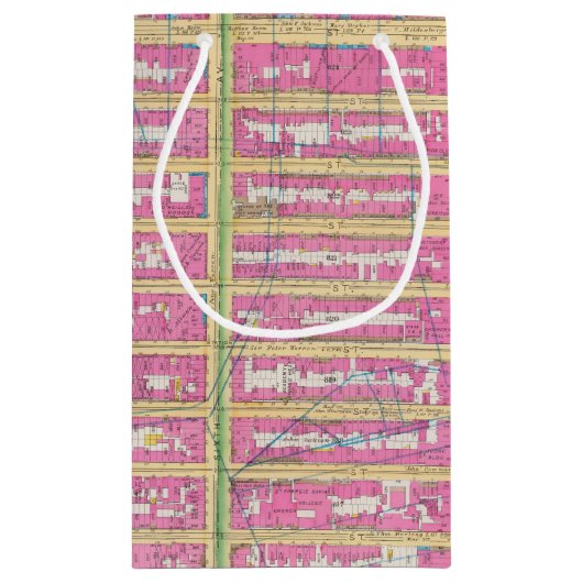 Petit Sac Cadeau Manhattan, New York 12 (Dos)