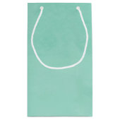 Petit Sac Cadeau Monogramme vert à menthe simple et chic avec nom (Dos)