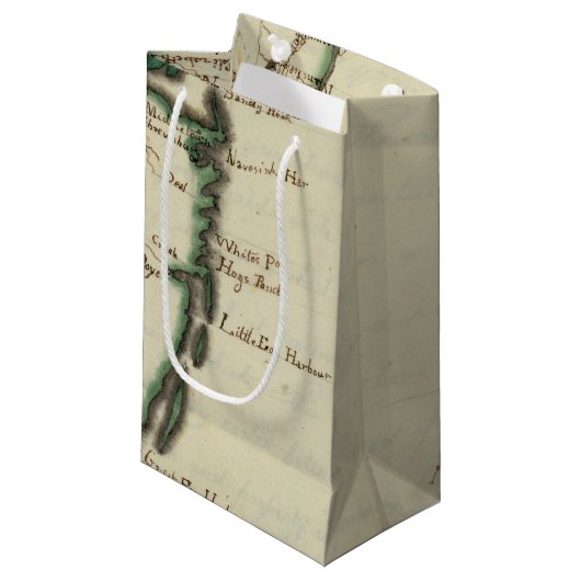 Petit Sac Cadeau New Jersey 5 (Devant Angle)