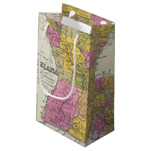Petit Sac Cadeau Nouvelle carte de la Louisiane 3 (Dos Angle)