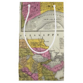 Petit Sac Cadeau Nouvelle carte de la Louisiane 3 (Devant)