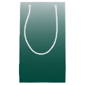 Petit Sac Cadeau ombre vert (Devant)