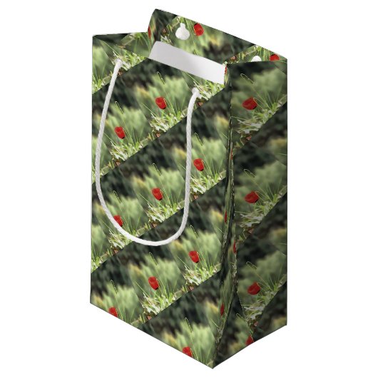 Petit Sac Cadeau One Poppy Artistic (Devant Angle)