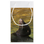 Petit Sac Cadeau Otarie (Dos)