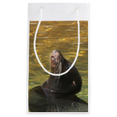 Petit Sac Cadeau Otarie (Devant)