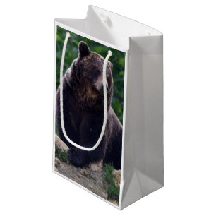 Petit Sac Cadeau Ours Brown
