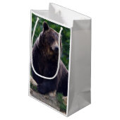 Petit Sac Cadeau Ours Brown (Dos Angle)