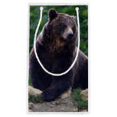 Petit Sac Cadeau Ours Brown (Devant)