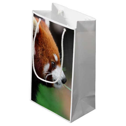 Petit Sac Cadeau Panda rouge (Dos Angle)