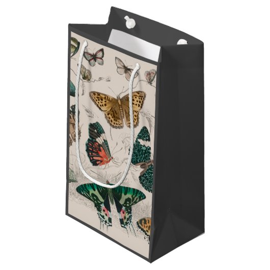 Petit Sac Cadeau Papillons Collection Antique Papillons (Devant Angle)