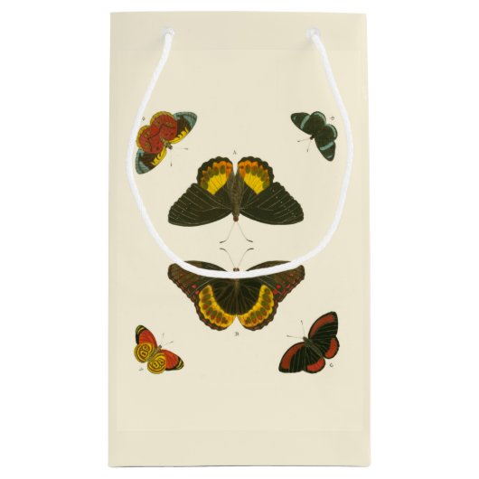 Petit Sac Cadeau Papillons lumineux par Pieter Cramer (Dos)