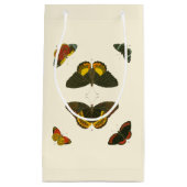 Petit Sac Cadeau Papillons lumineux par Pieter Cramer (Devant)