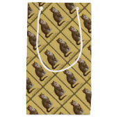 Petit Sac Cadeau Peake, le chat tabby de Chessie (Devant)