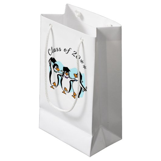 Petit Sac Cadeau Penguin Meilleurs Amis Diplôme (Devant Angle)
