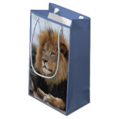 Petit Sac Cadeau Photo du lion de la faune (Dos Angle)