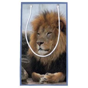 Petit Sac Cadeau Photo du lion de la faune