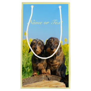 Petit Sac Cadeau Photo mignonne de Dackel de deux chiens de teckel