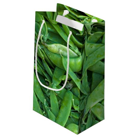 Petit Sac Cadeau Pois verts (Dos Angle)