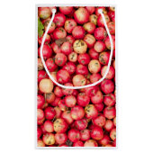 Petit Sac Cadeau Pommes biologiques (Dos)