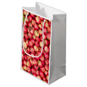 Petit Sac Cadeau Pommes biologiques (Dos Angle)