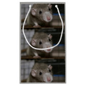 Petit Sac Cadeau Rat curieux (Dos)