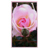 Petit Sac Cadeau Rose rose rose anglaise parfaite (Dos)