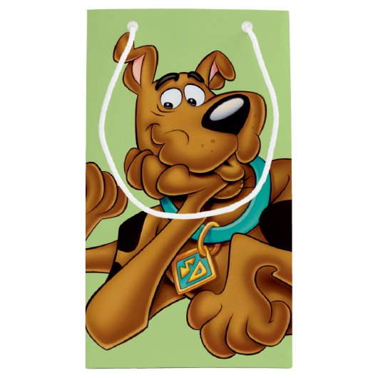 Petit Sac Cadeau Scooby Doo Allongé (Dos)