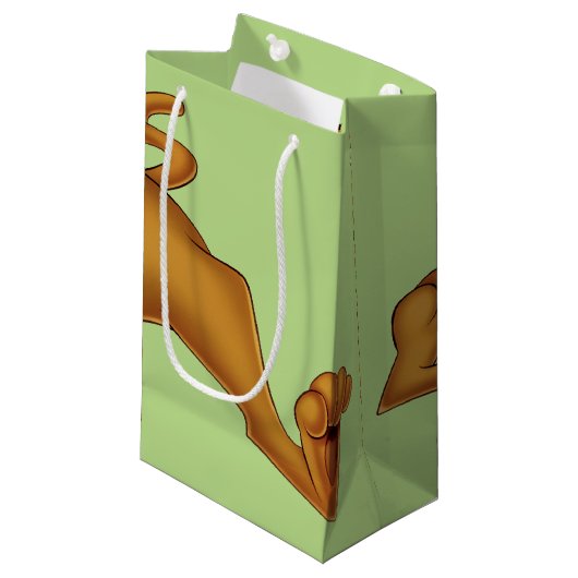 Petit Sac Cadeau Scooby Doo Allongé (Devant Angle)