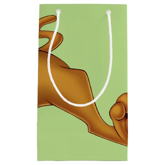 Petit Sac Cadeau Scooby Doo Allongé (Devant)