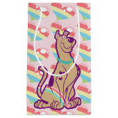 Petit Sac Cadeau Scooby-Doo arc-en-ciel (Devant)