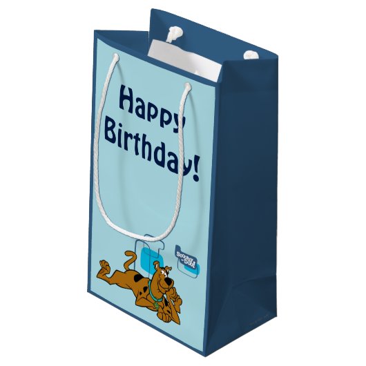 Petit Sac Cadeau Scooby-Doo Carré Rétro Couché (Dos Angle)