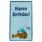 Petit Sac Cadeau Scooby-Doo Carré Rétro Couché (Devant)