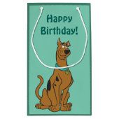 Petit Sac Cadeau Scooby Doo Chiot Yeux (Dos)