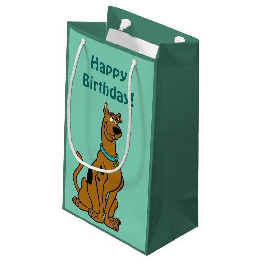 Petit Sac Cadeau Scooby Doo Chiot Yeux (Dos Angle)