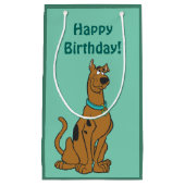 Petit Sac Cadeau Scooby Doo Chiot Yeux (Devant)