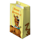 Petit Sac Cadeau Scooby-Doo Joyeuse Marche (Devant Angle)