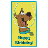 Petit Sac Cadeau Scooby-Doo Joyeux Visage (Dos)