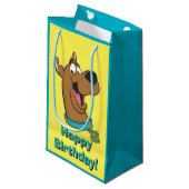 Petit Sac Cadeau Scooby-Doo Joyeux Visage (Devant Angle)