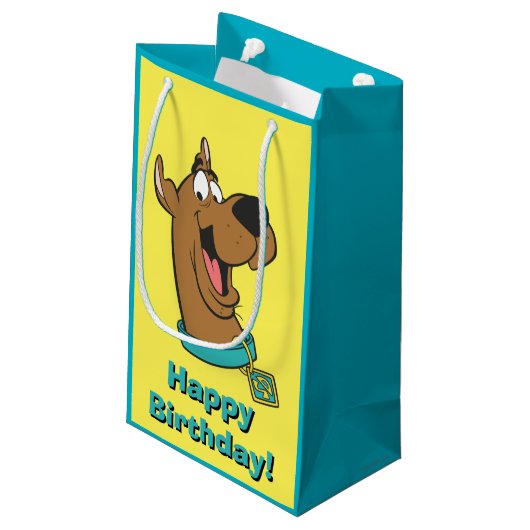Petit Sac Cadeau Scooby-Doo Joyeux Visage (Dos Angle)