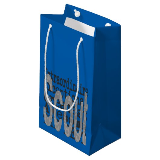 Petit Sac Cadeau Scout Extraordinaire (Devant Angle)