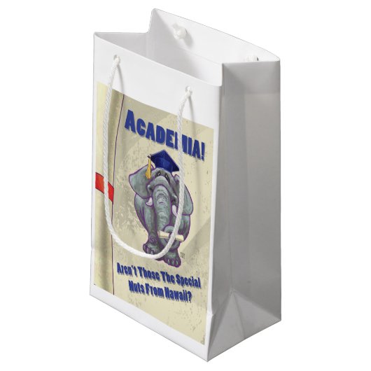 Petit Sac Cadeau Scroll universitaire (Devant Angle)