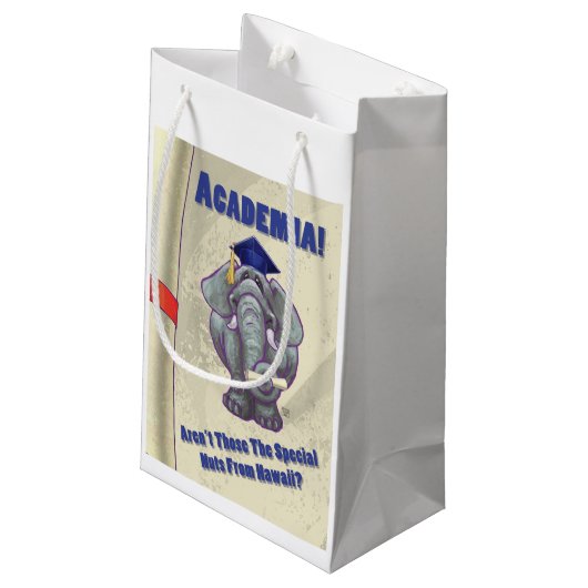 Petit Sac Cadeau Scroll universitaire (Dos Angle)