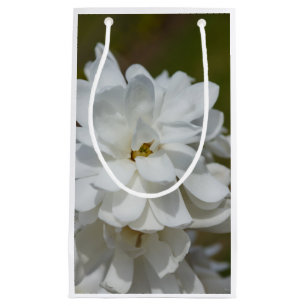 Petit Sac Cadeau Silky Magnolia