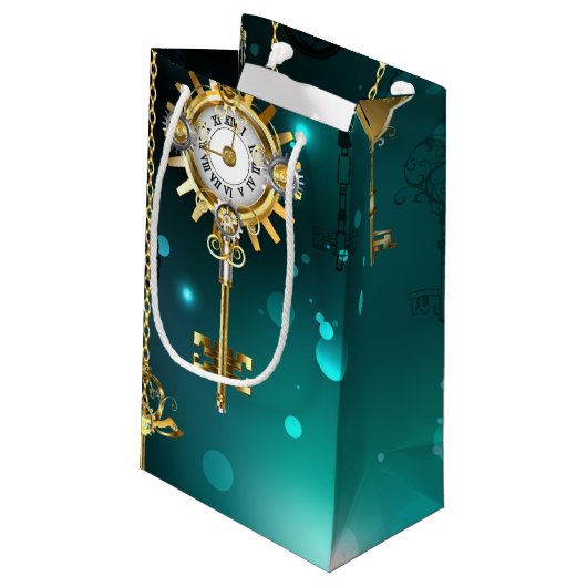 Petit Sac Cadeau Skeleton Keys on Green Background (Dos Angle)